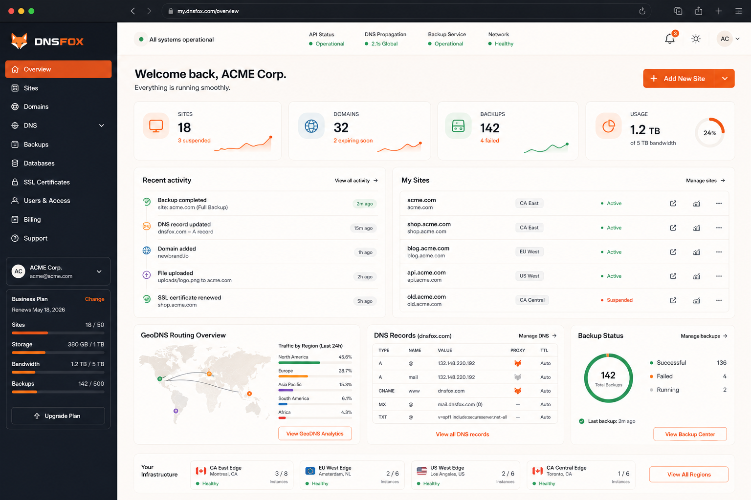 DNSFox dashboard overview mockup